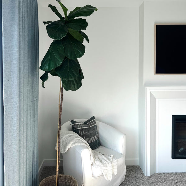 Lena Linen | Misty Blue | Pleated Drapery